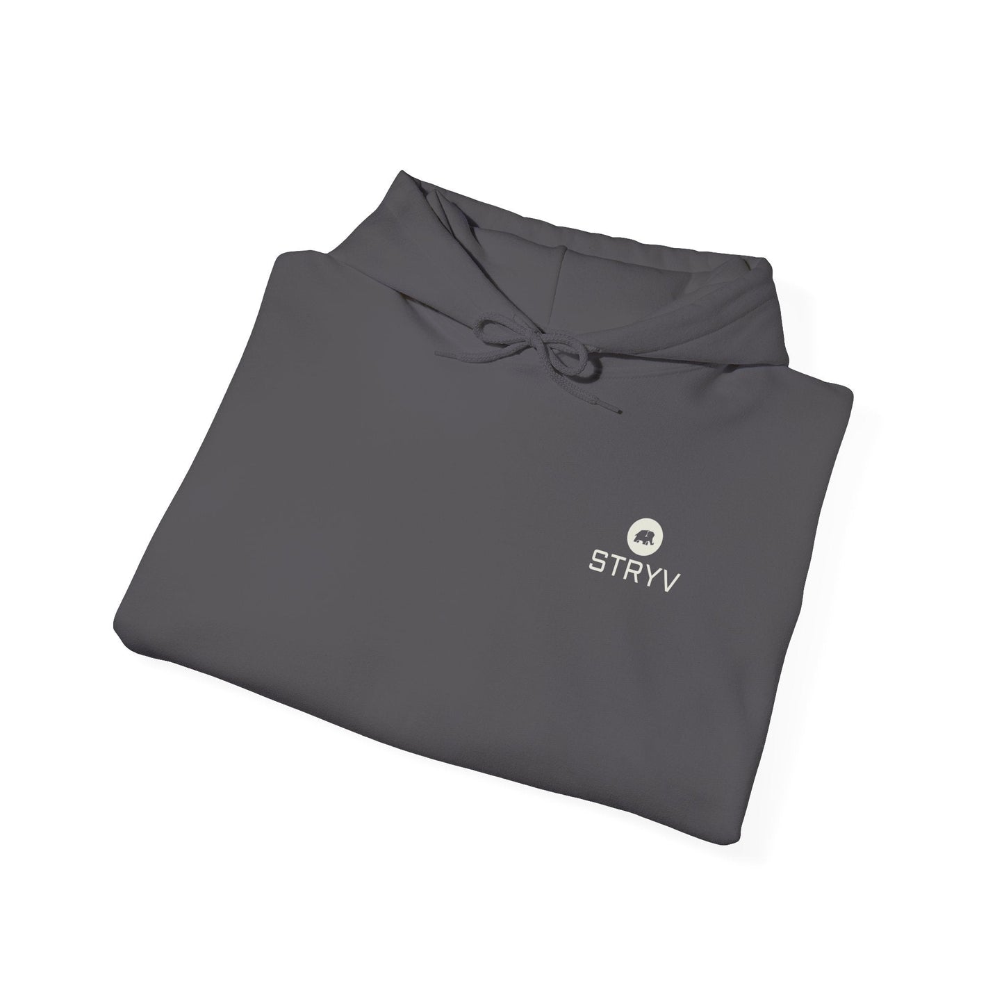Core Comfort Hoodie Unisex - STRYV WearHoodie