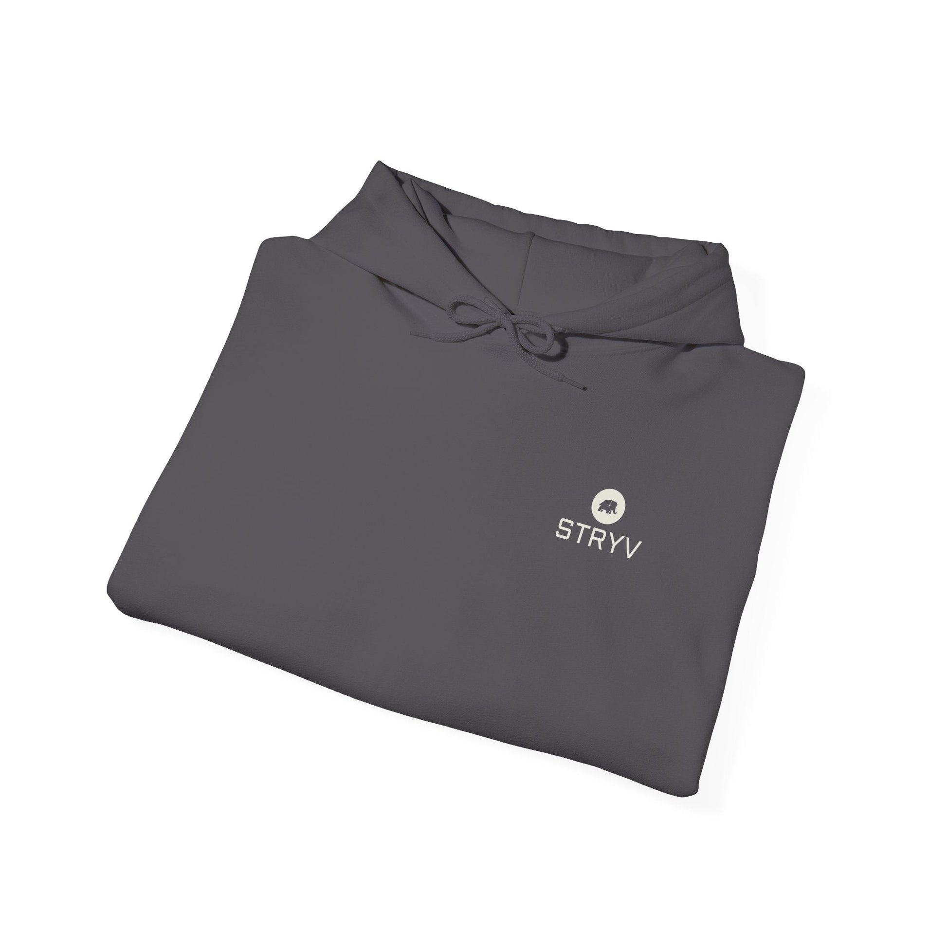 Core Comfort Hoodie Unisex - STRYV WearHoodie