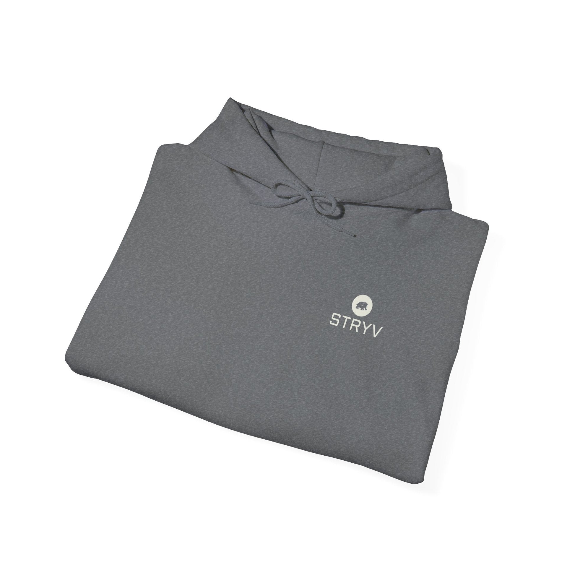 Core Comfort Hoodie Unisex - STRYV WearHoodie