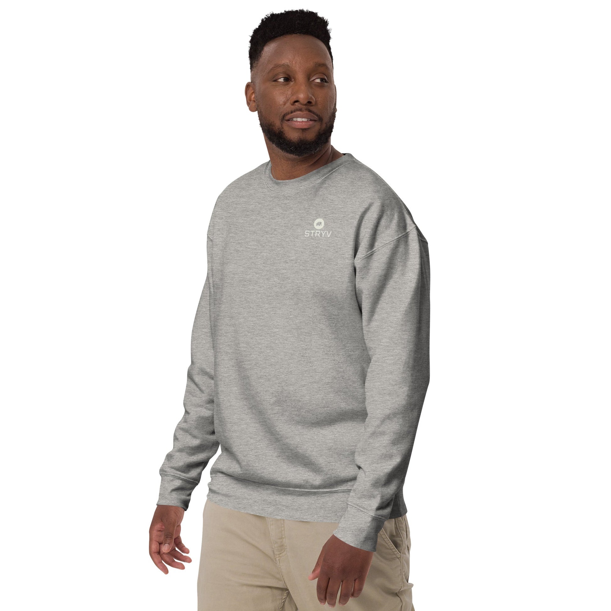 men sweatshirt - STRYV Wear