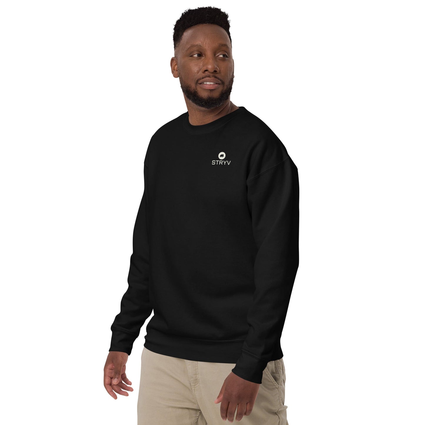 men sweatshirt - STRYV Wear