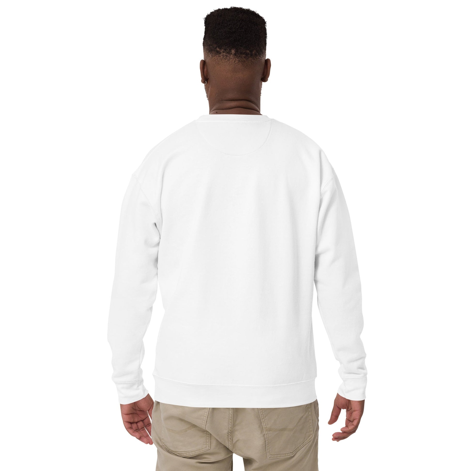 men sweatshirt - STRYV Wear
