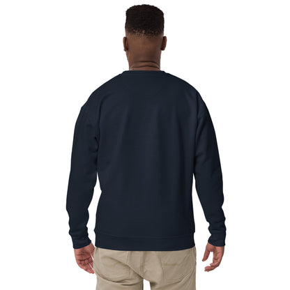 men sweatshirt - STRYV Wear