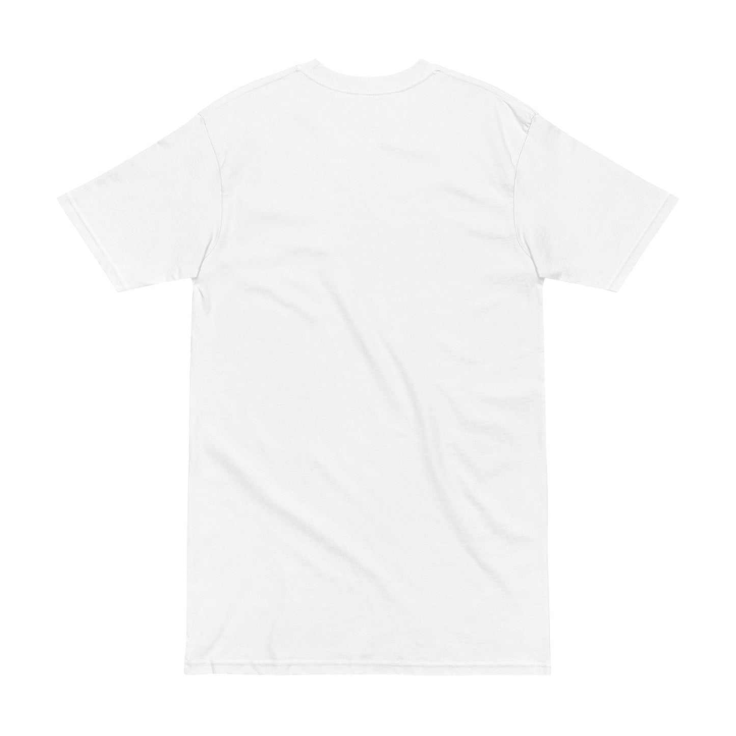 Men's Heavyweight Tee - STRYV WearT-Shirt