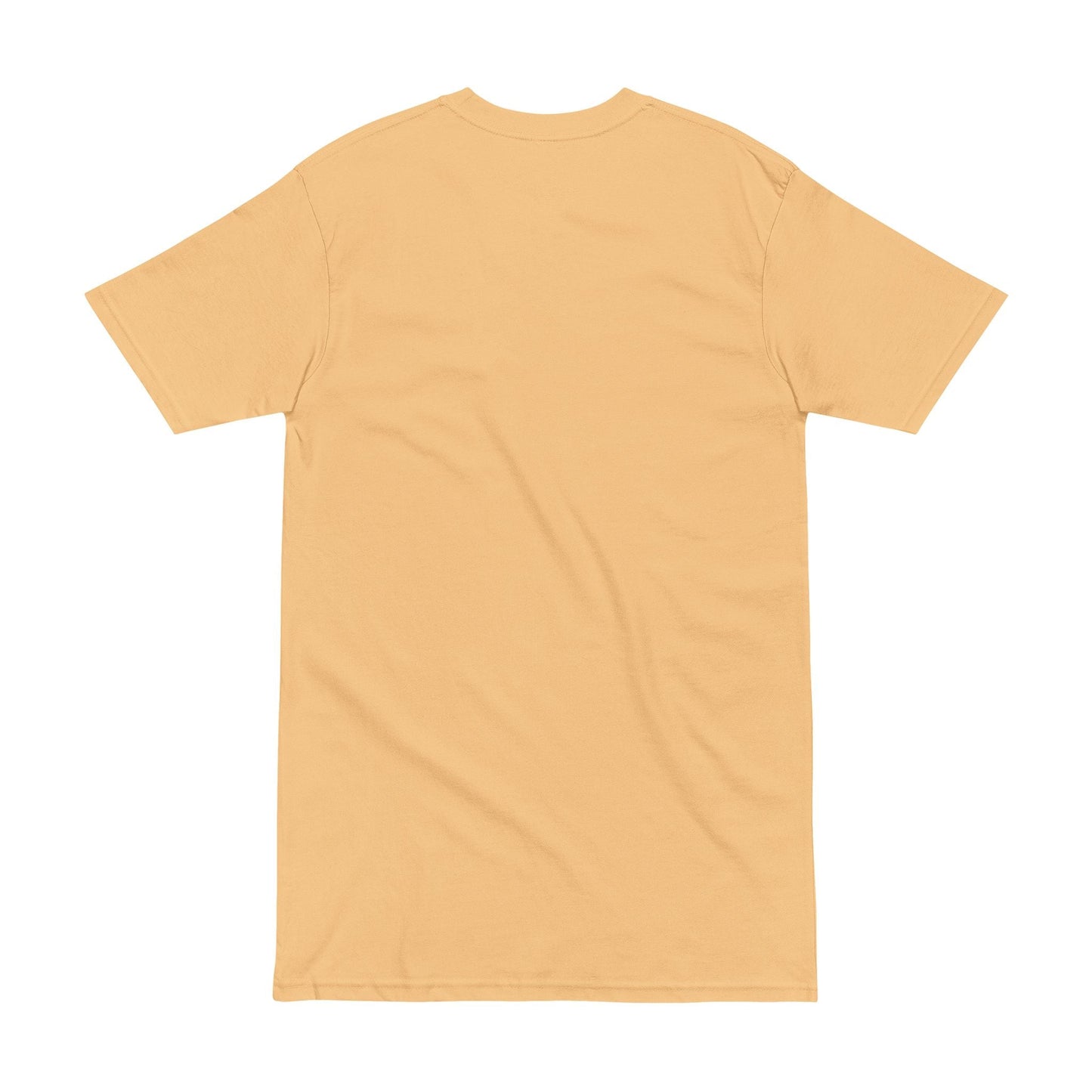 Men's Heavyweight Tee - STRYV WearT-Shirt