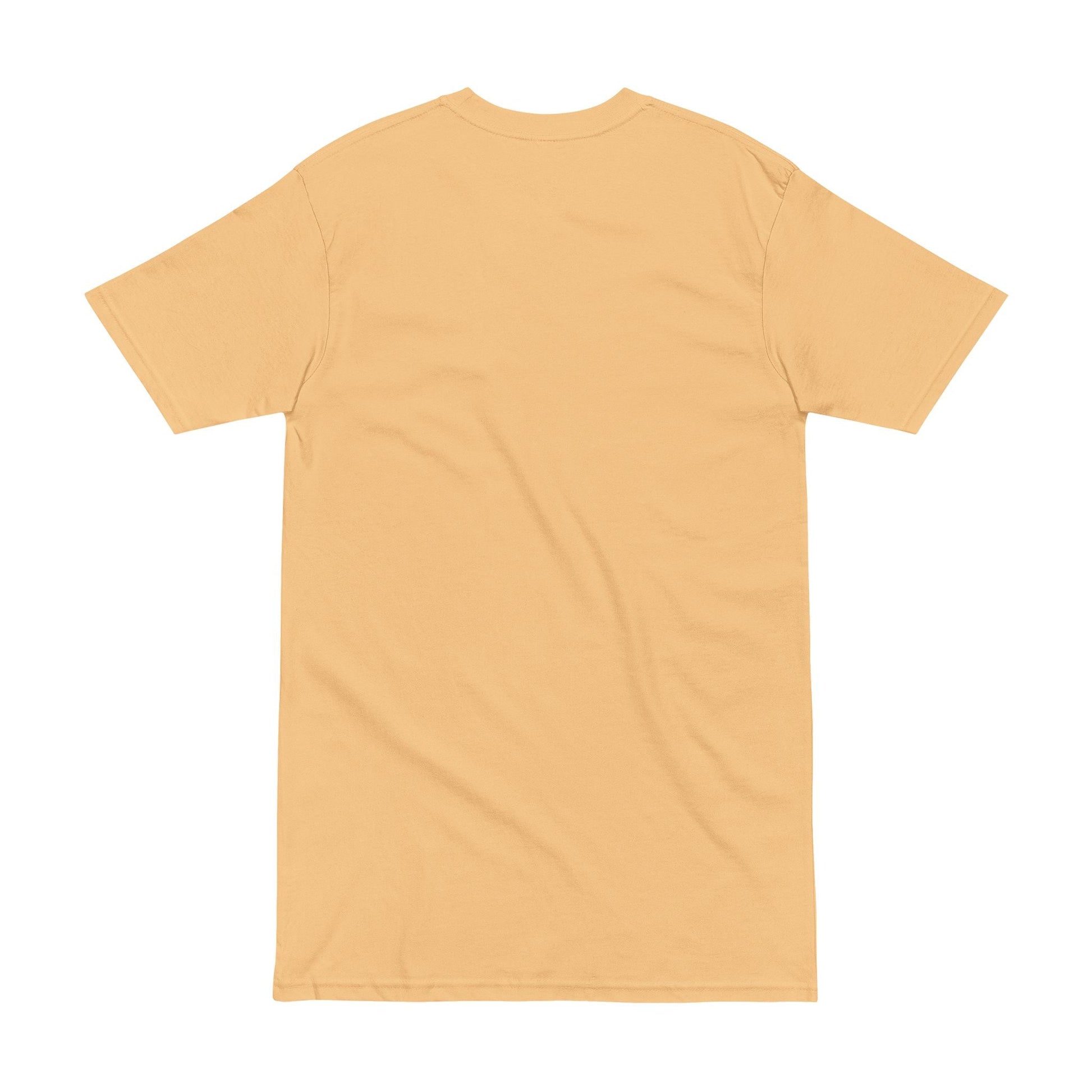 Men's Heavyweight Tee - STRYV WearT-Shirt